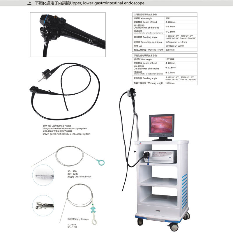 電子上消化道內窺鏡